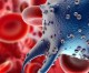 Une « superbactérie » sexuellement transmissible plus dangereuse que le SIDA