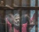 Égypte: l’ex-président Morsi devra purger ses 20 ans de prison