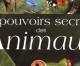 LES POUVOIRS SECRETS DES ANIMAUX (2eme partie)